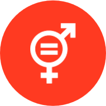 SDG 5 icon